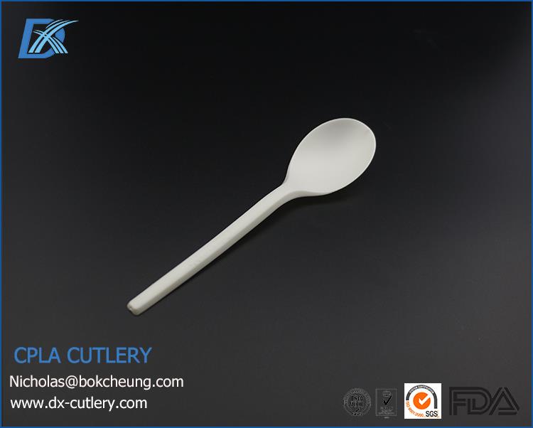 cpla spoon.jpg