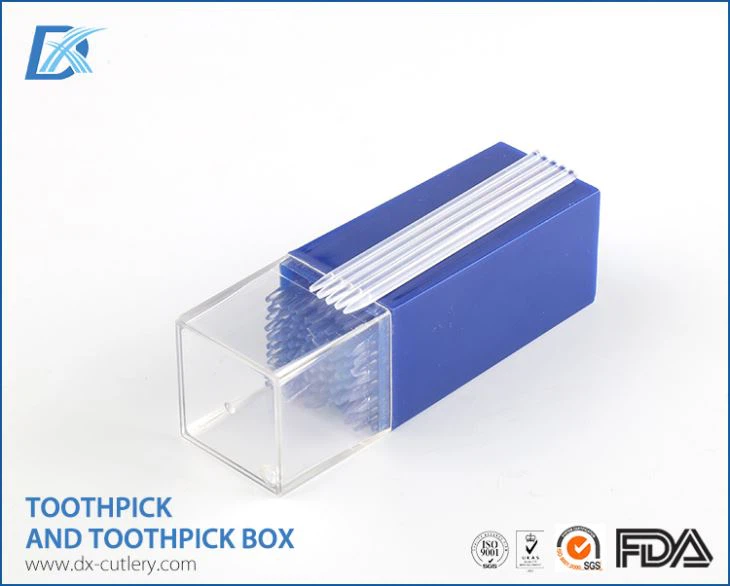 Clear Plastic Toothpick Sticks and Holder