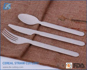 FDA Disposable Plastic Biodegradable Compostable Cutlery Set