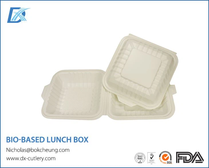 Biodegradable Bento Box