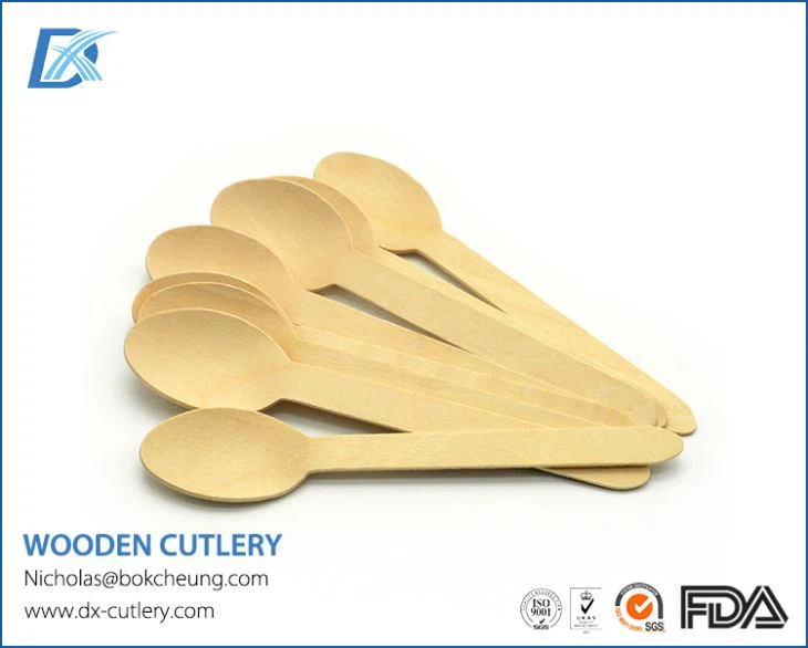Biodegradable Wooden Cutlery Set