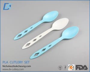 Compostable CPLA Spoon