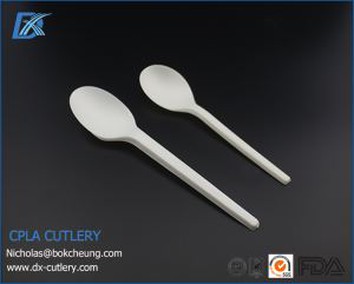 White Biodegradable Disposable PLA Spoon